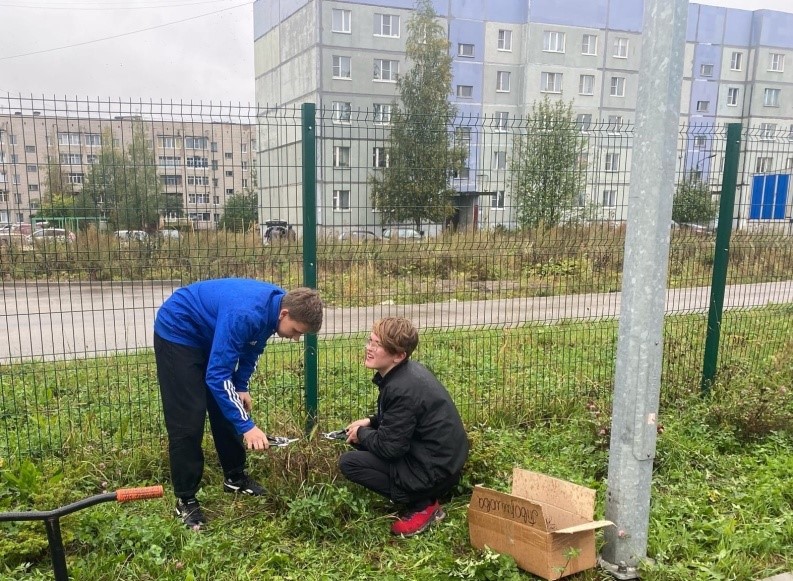 «Осенние заботы».